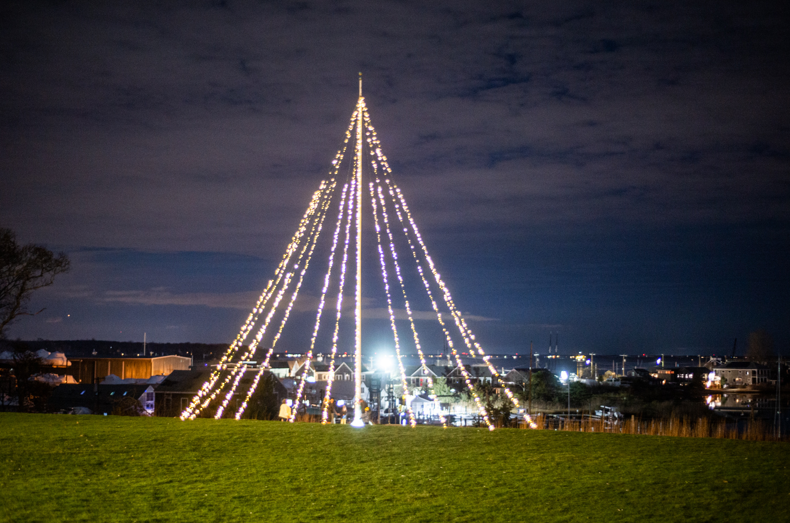 The Martha's Vineyard Museum has its own tree interpretation.