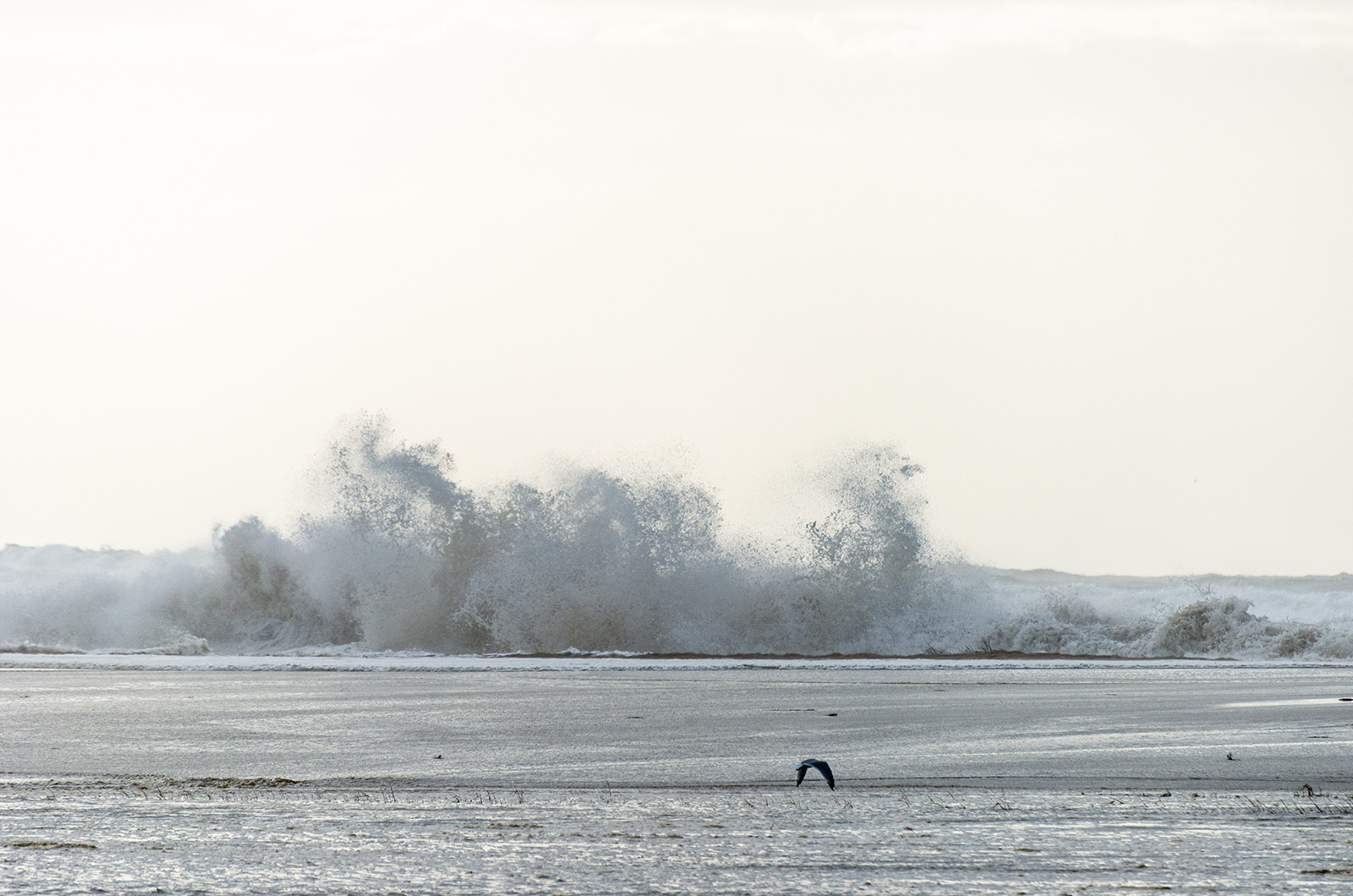 Water washing over the remnants of Norton Point beach into Katama Bay.