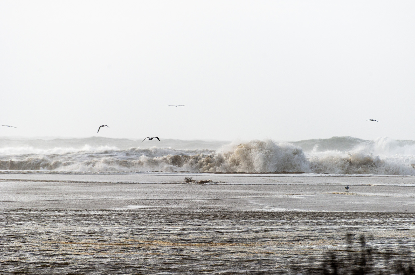 Water washing over the remnants of Norton Point beach into Katama Bay.