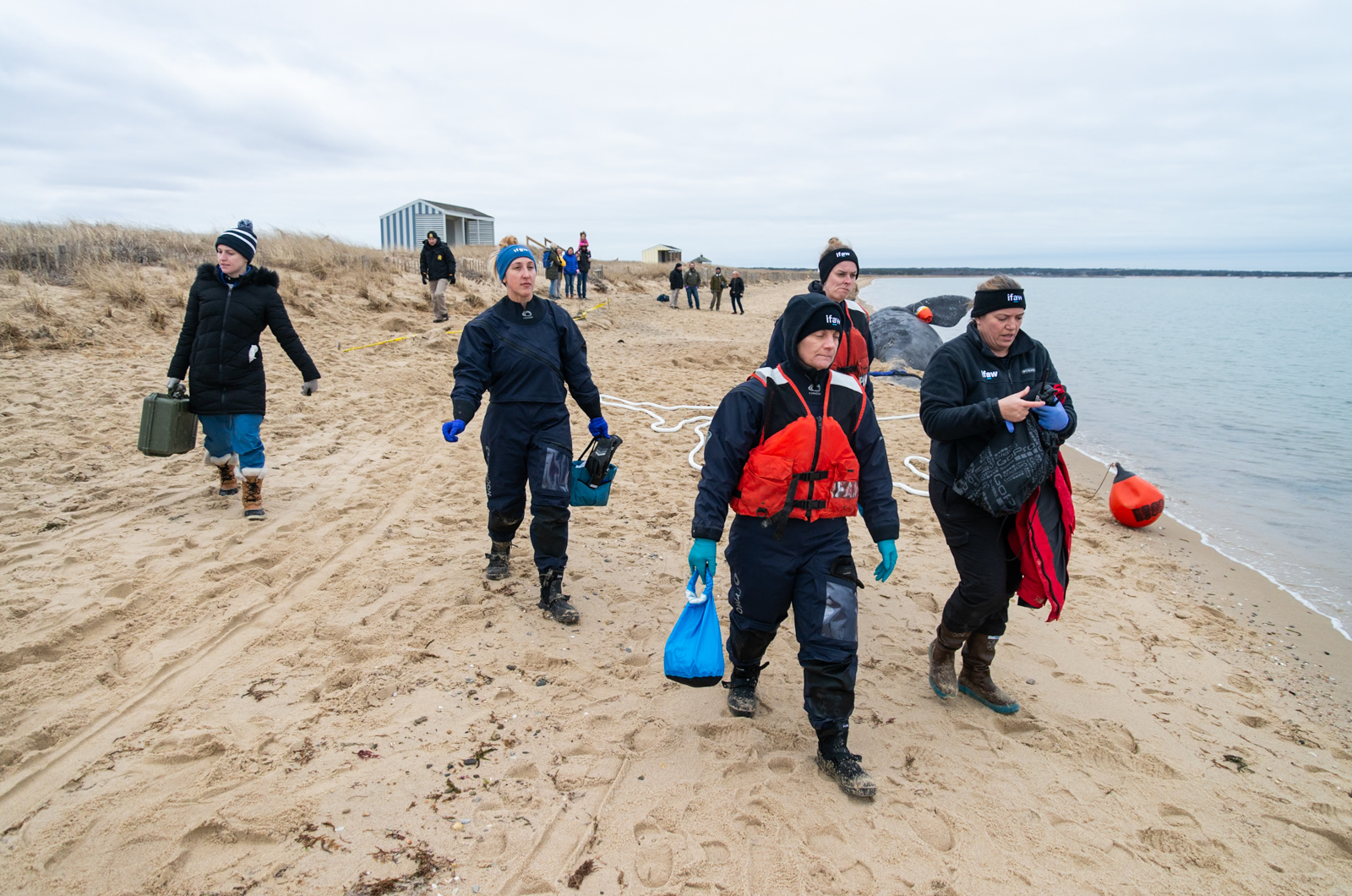 IFAW team prepares to begin operations.
