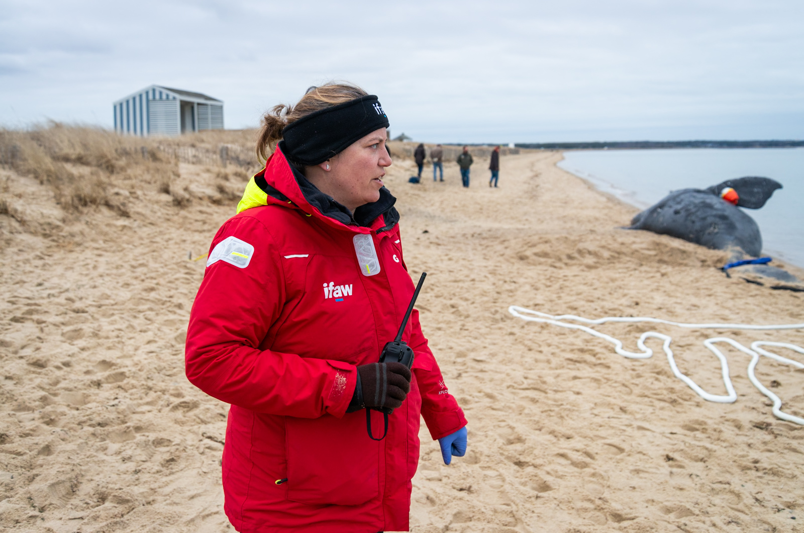 Misty Niemeyer (Stranding Coordinator) for IFAW.