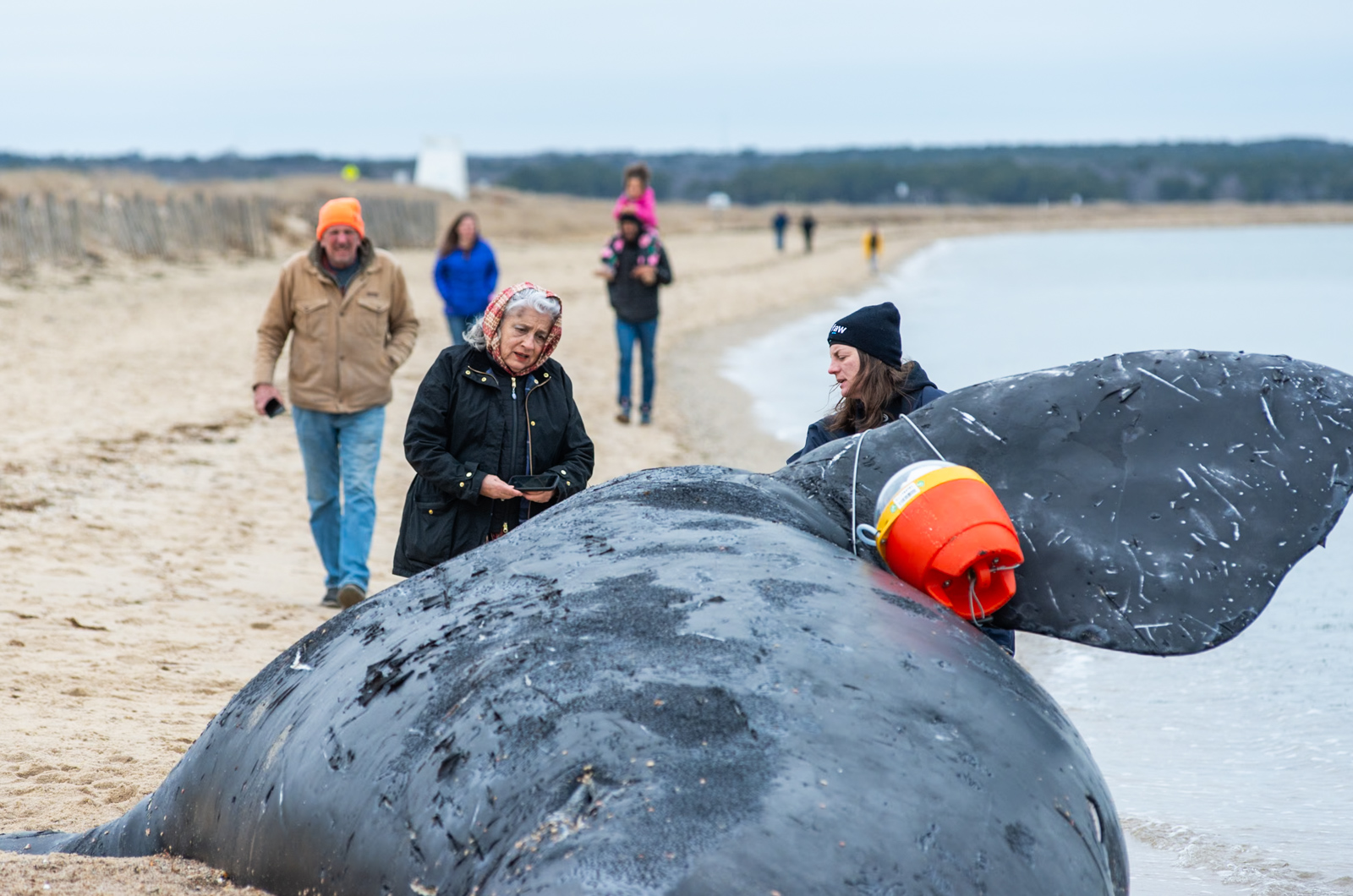 Alice June Thompson (center) reacts to seeing the whale.