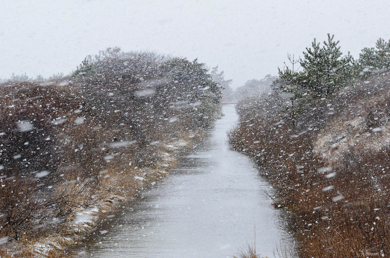 Snow falling over Herring Creek in Katama.