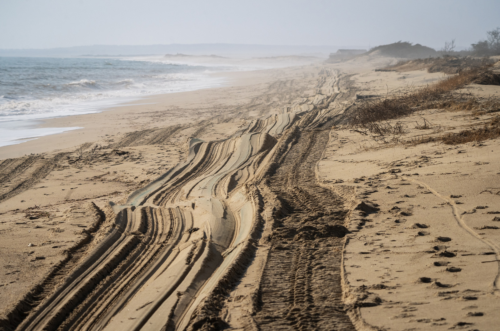 Tire tracks lead West from the Left Fork entrance.