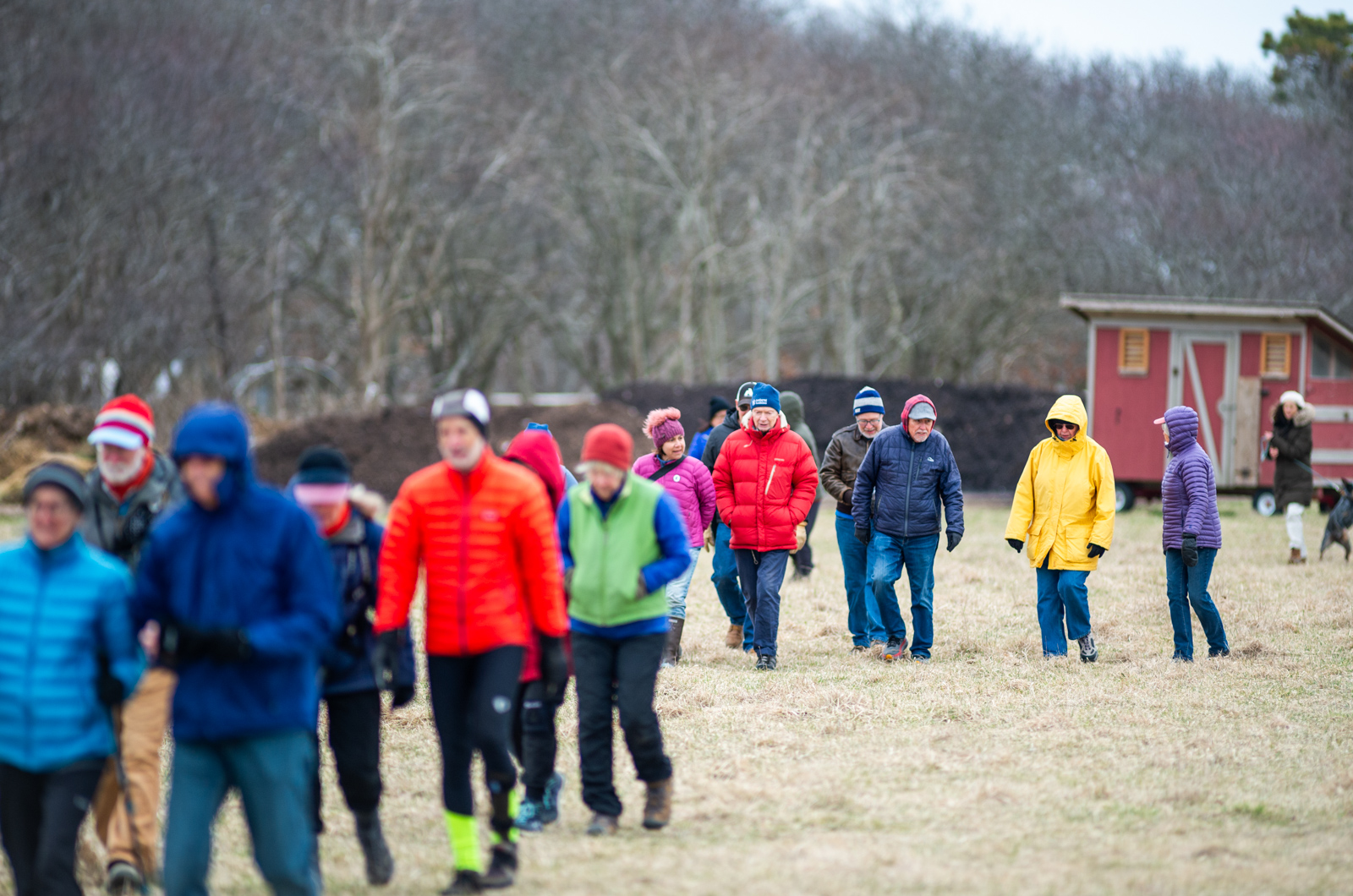 Walking through the field.