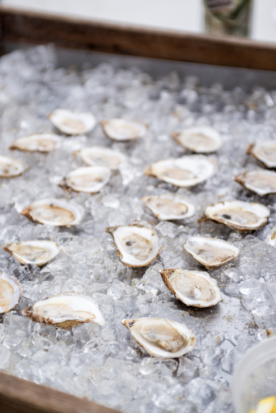 Cottage City Oysters.