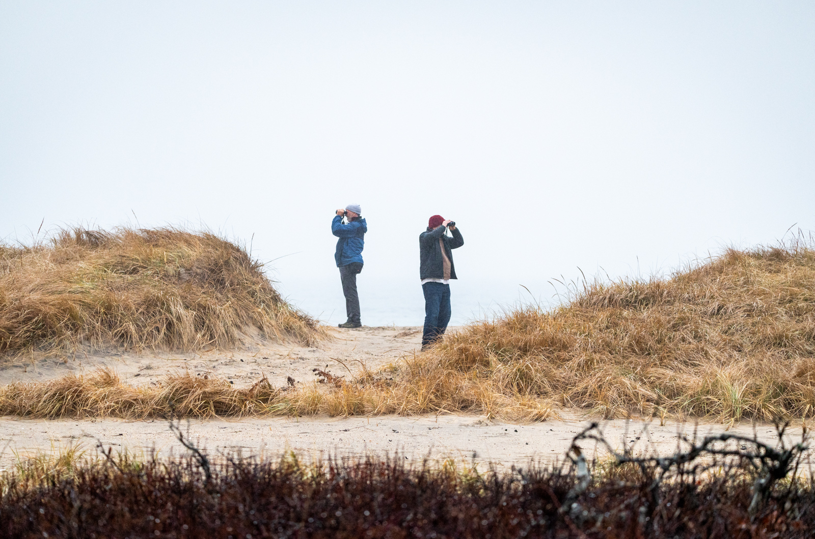 Dana Bangs and John Clark on the south shore near Oyster Pond.