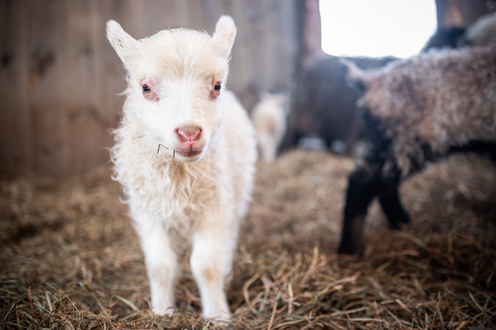 Ready for the closeup.
