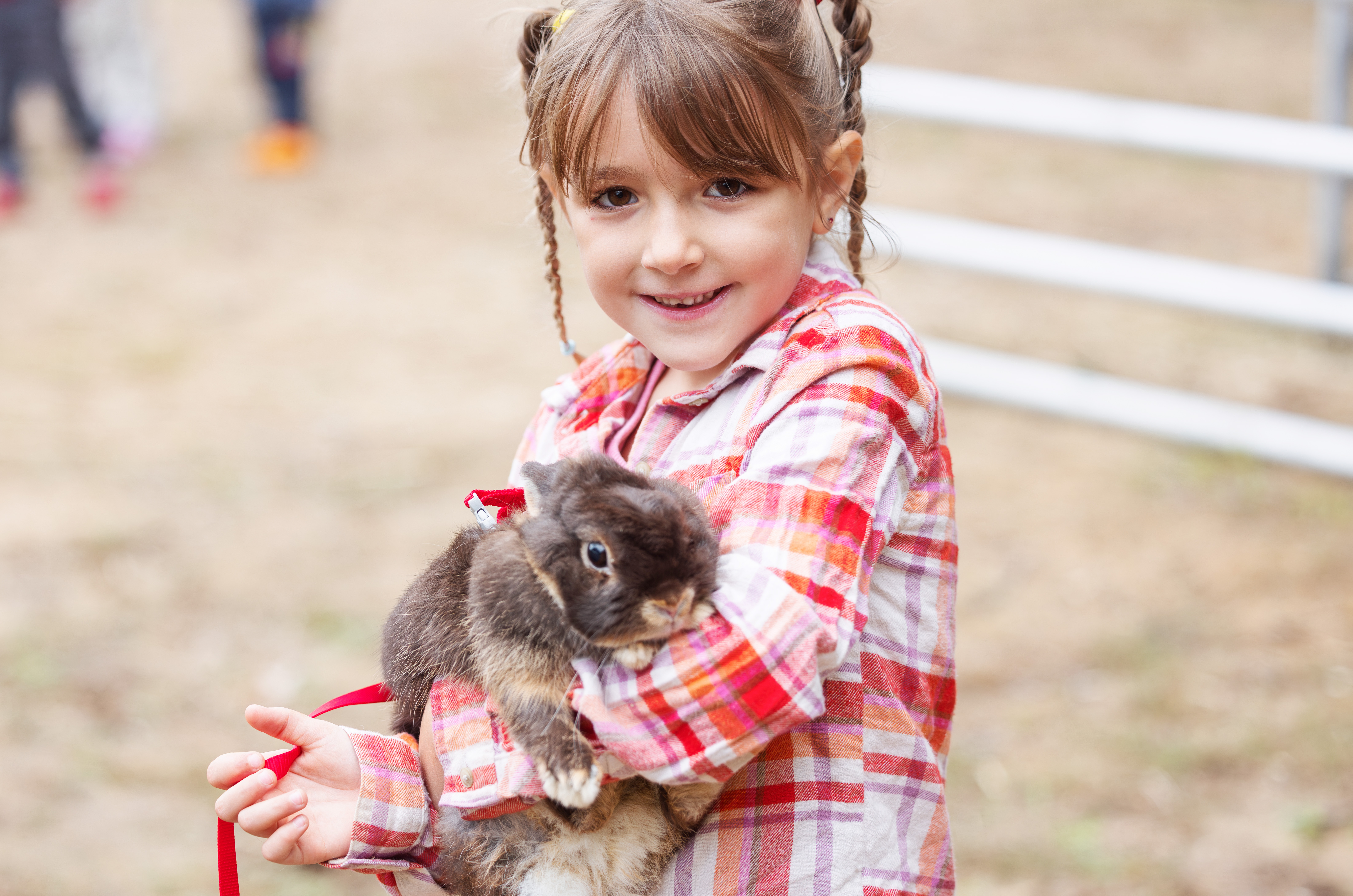 Adelynn Rose with a pet rabbit.