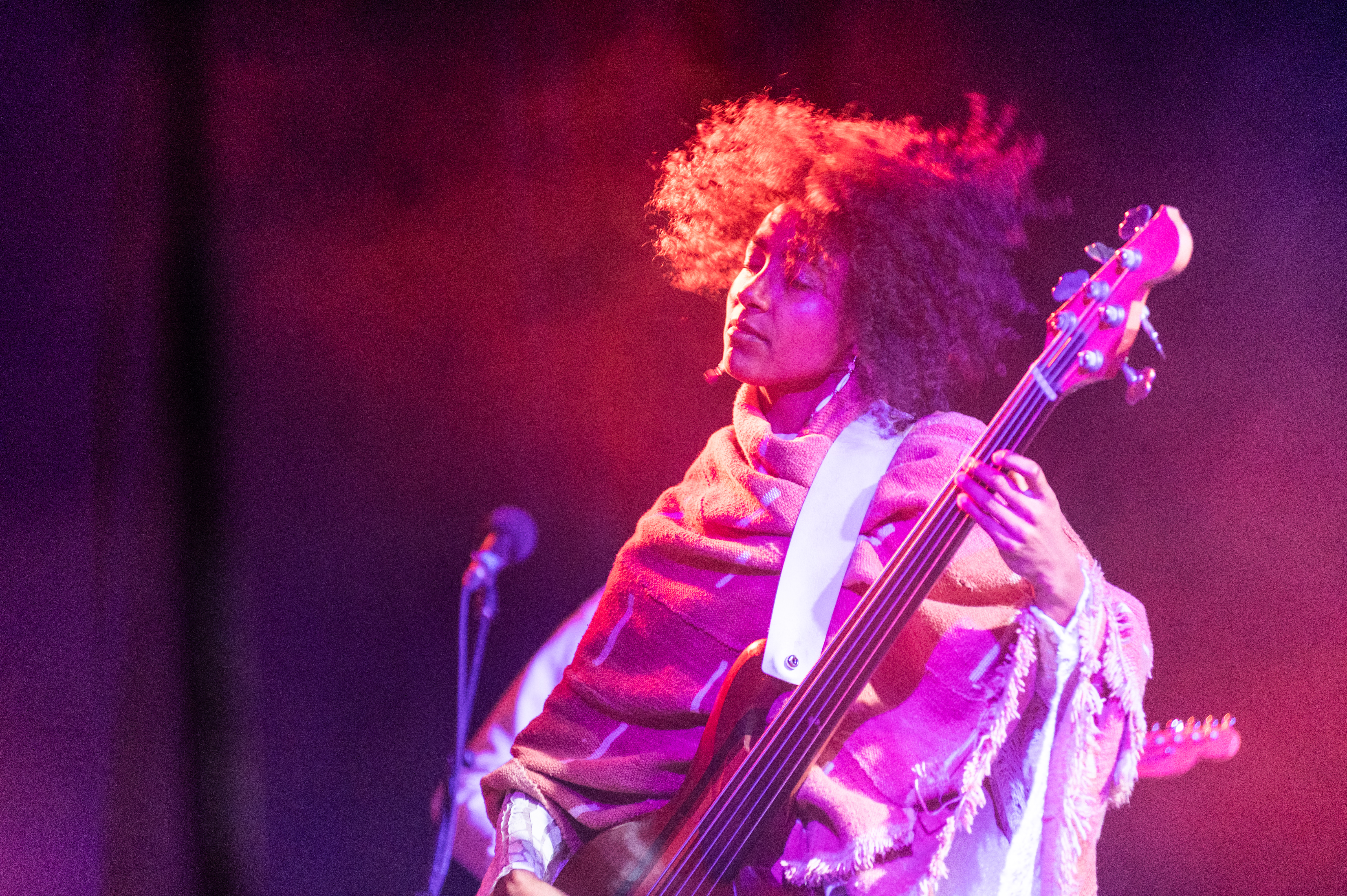 Esperanza Spalding was the event headliner.