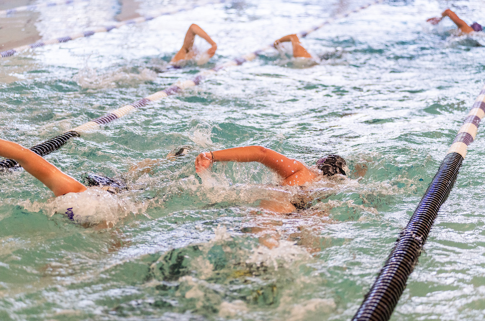 The swim team has grown in recent years.