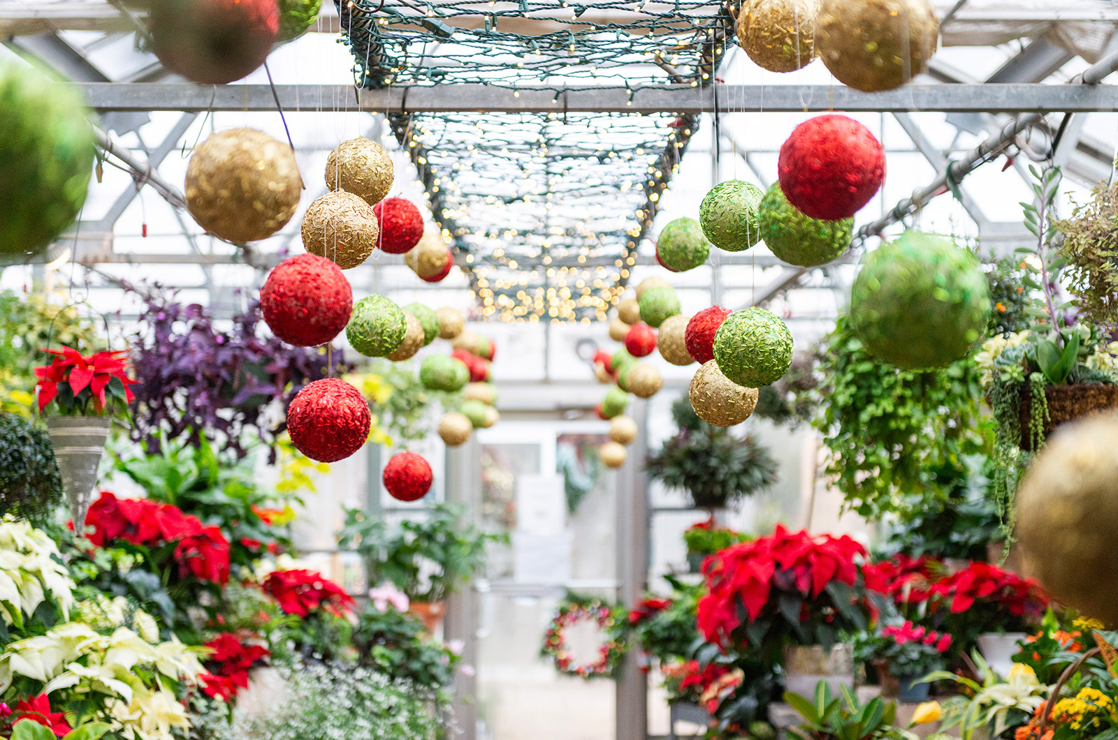 Along with much of Edgartown, Donaroma's decorates for the season.
