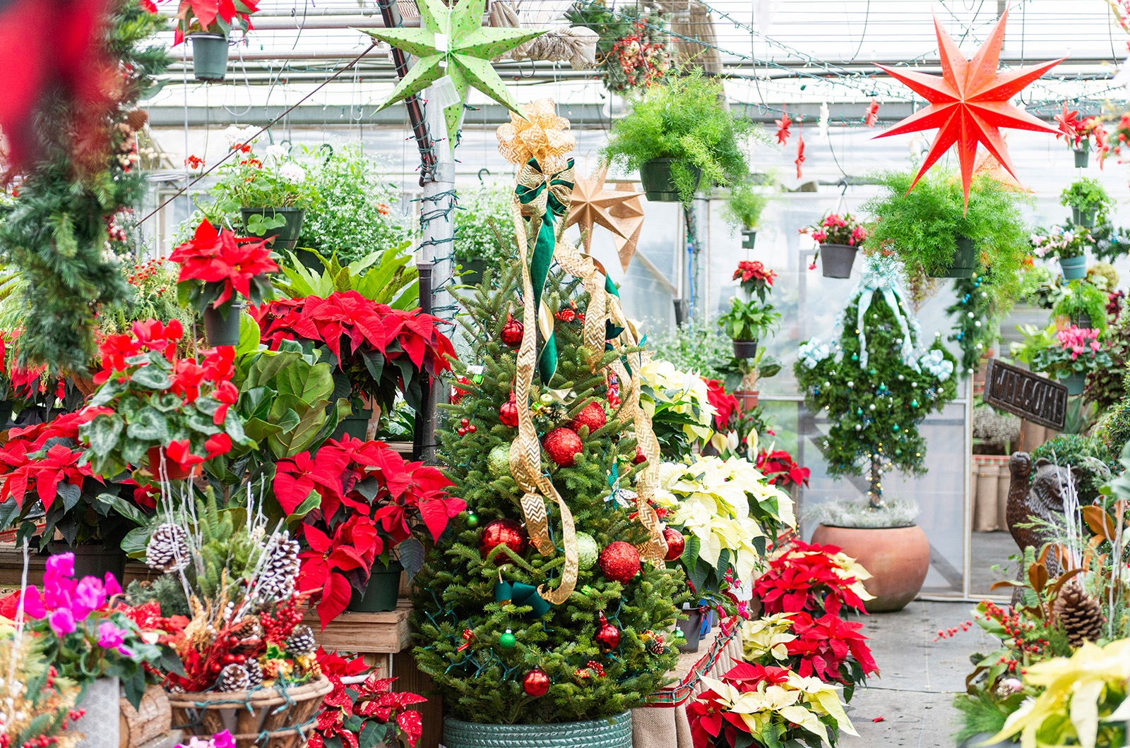 Seasonal plants play a leading role.