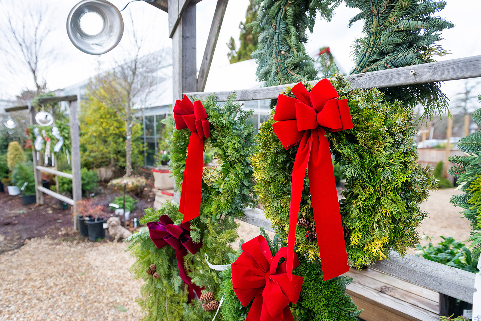 Tis' the season.