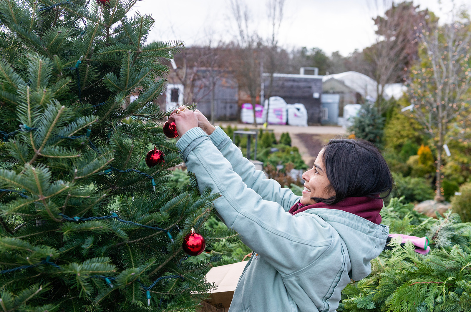Sara places a bauble on a tree outside.