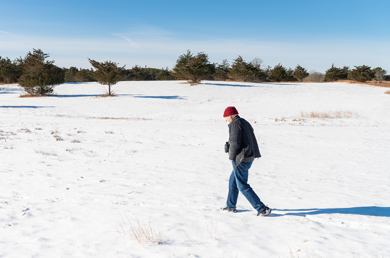 John Clark walks the field at Scrubby Neck Farm