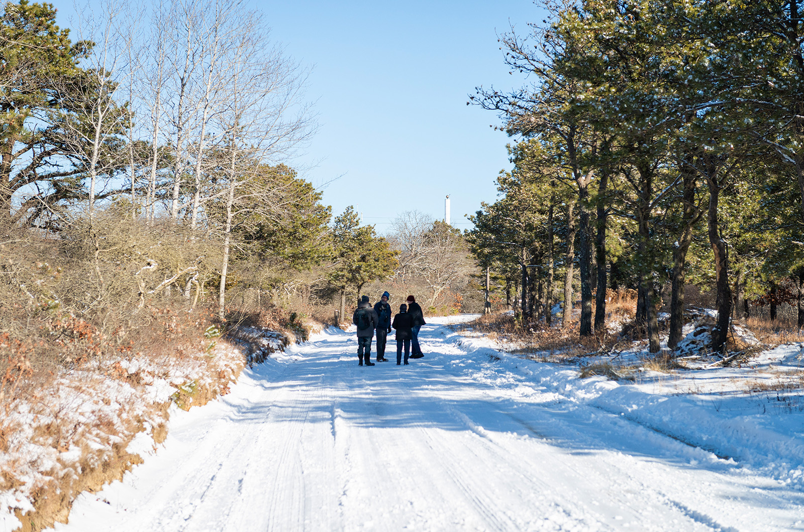 The Long Point team walks down Joe Walker road.
