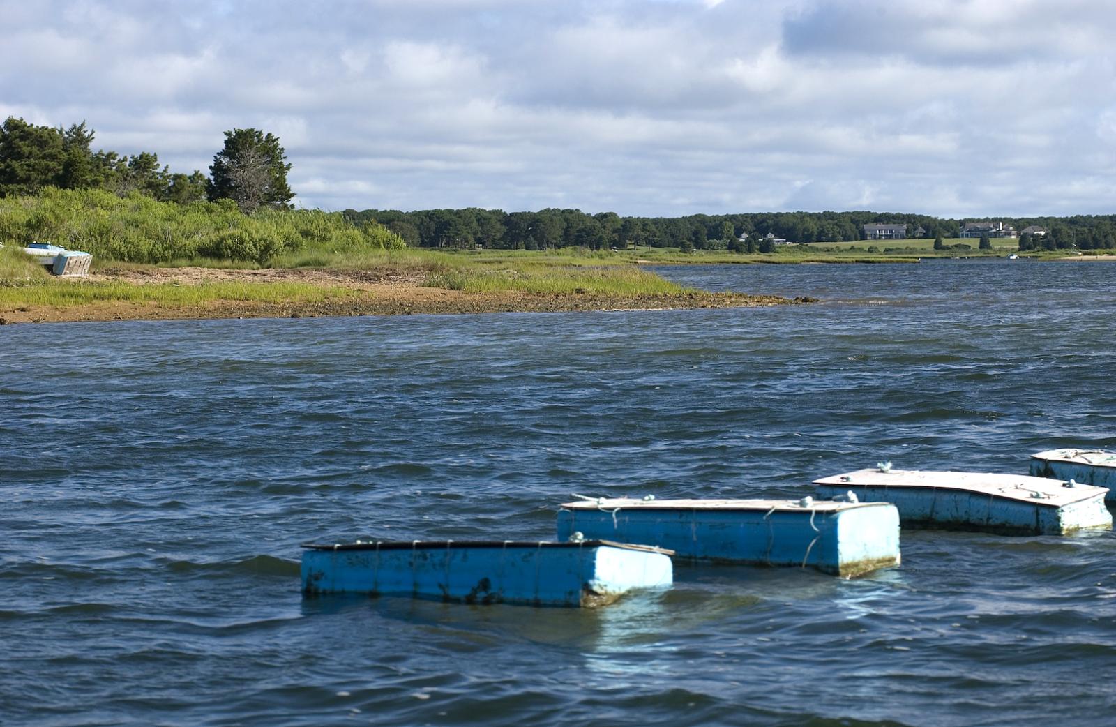 aquaculture