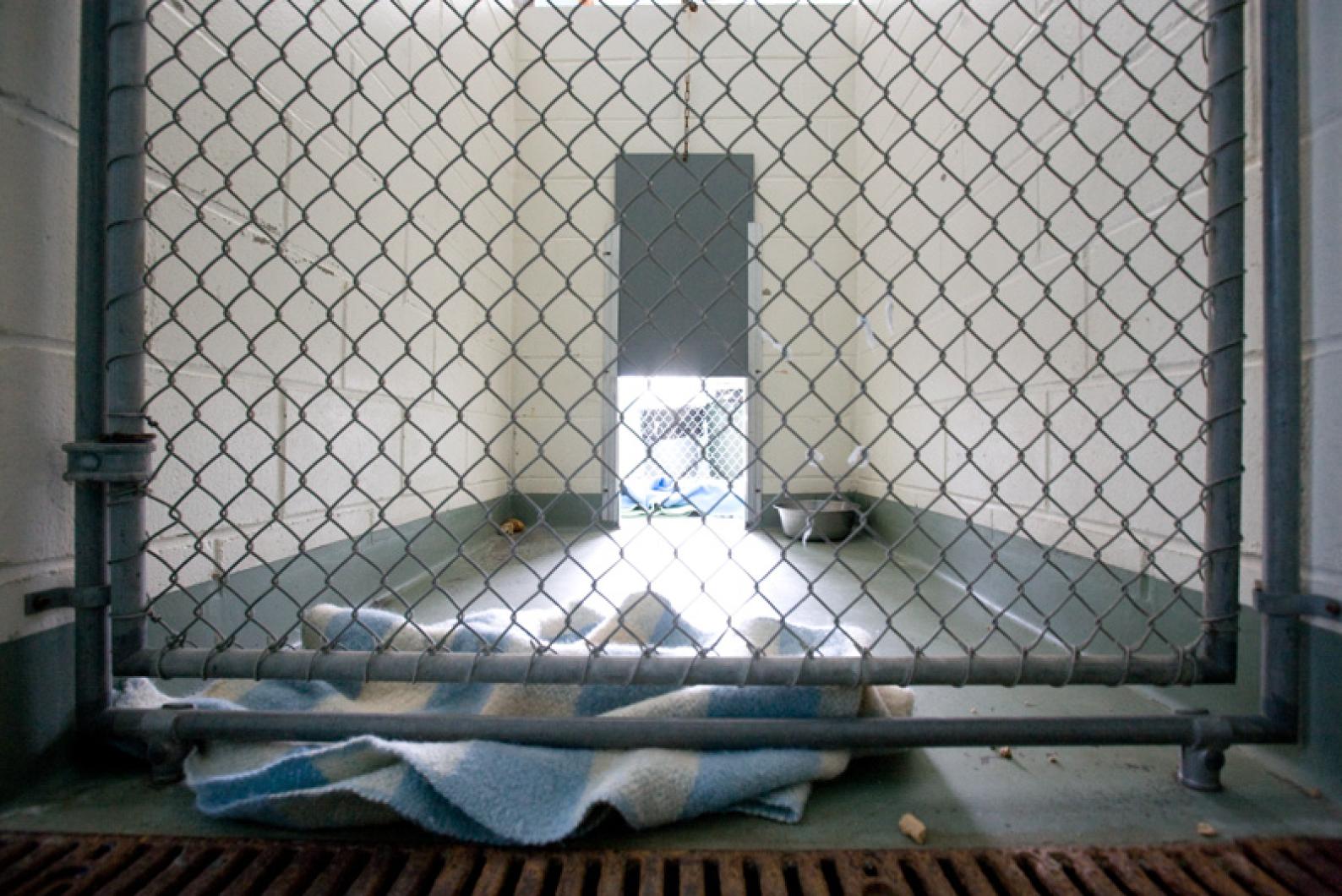 cage