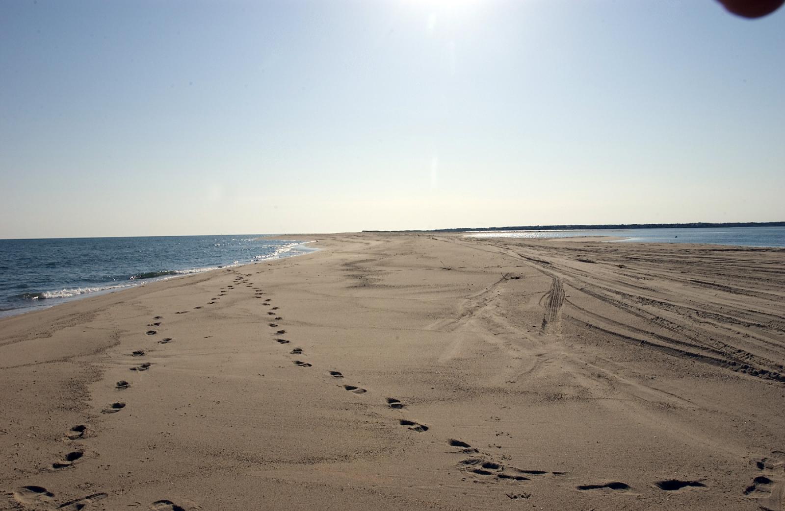 sand