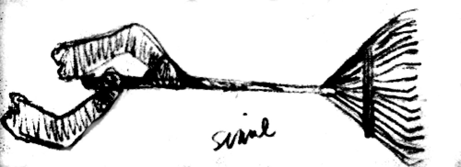 rake