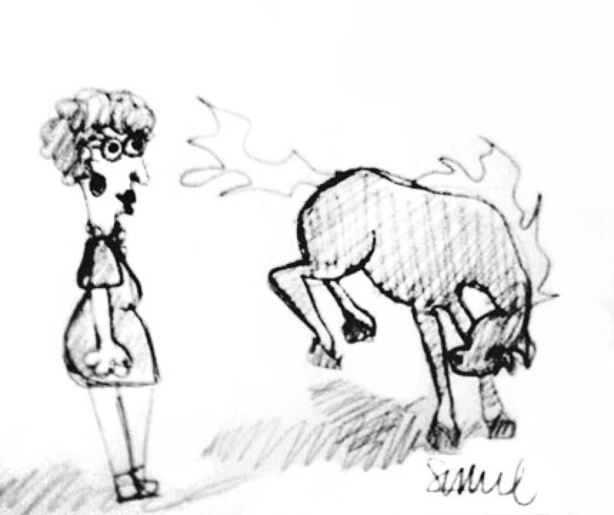 horse