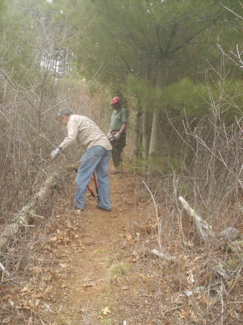 trail