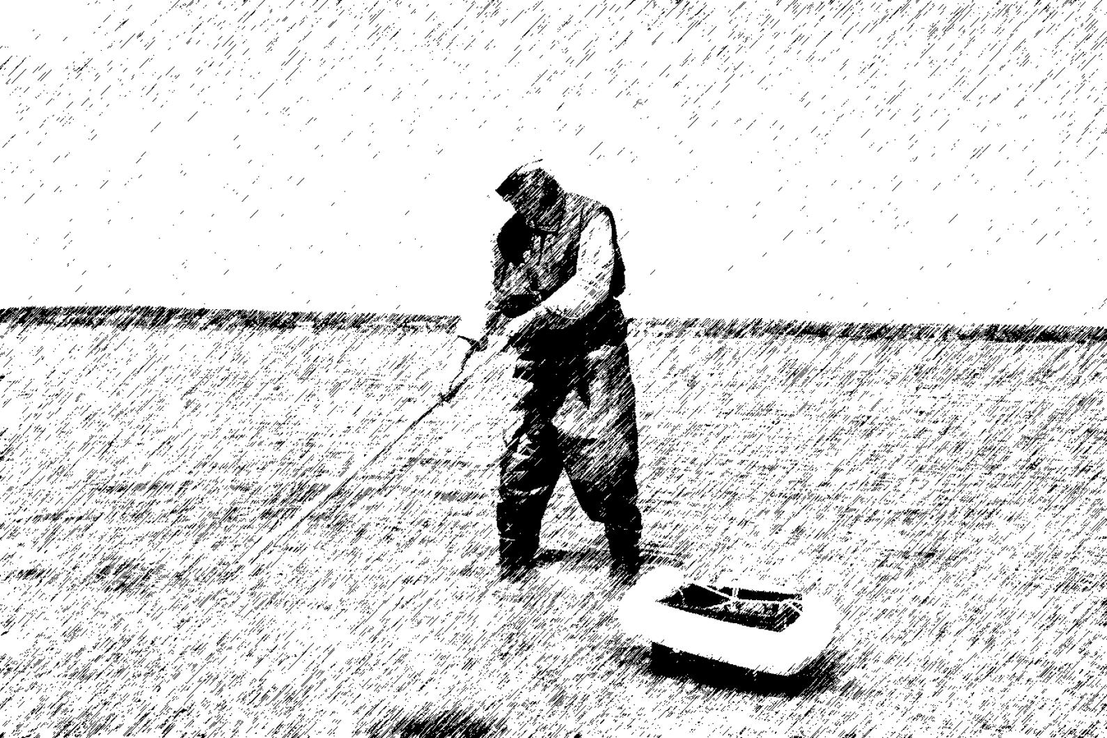 clamming