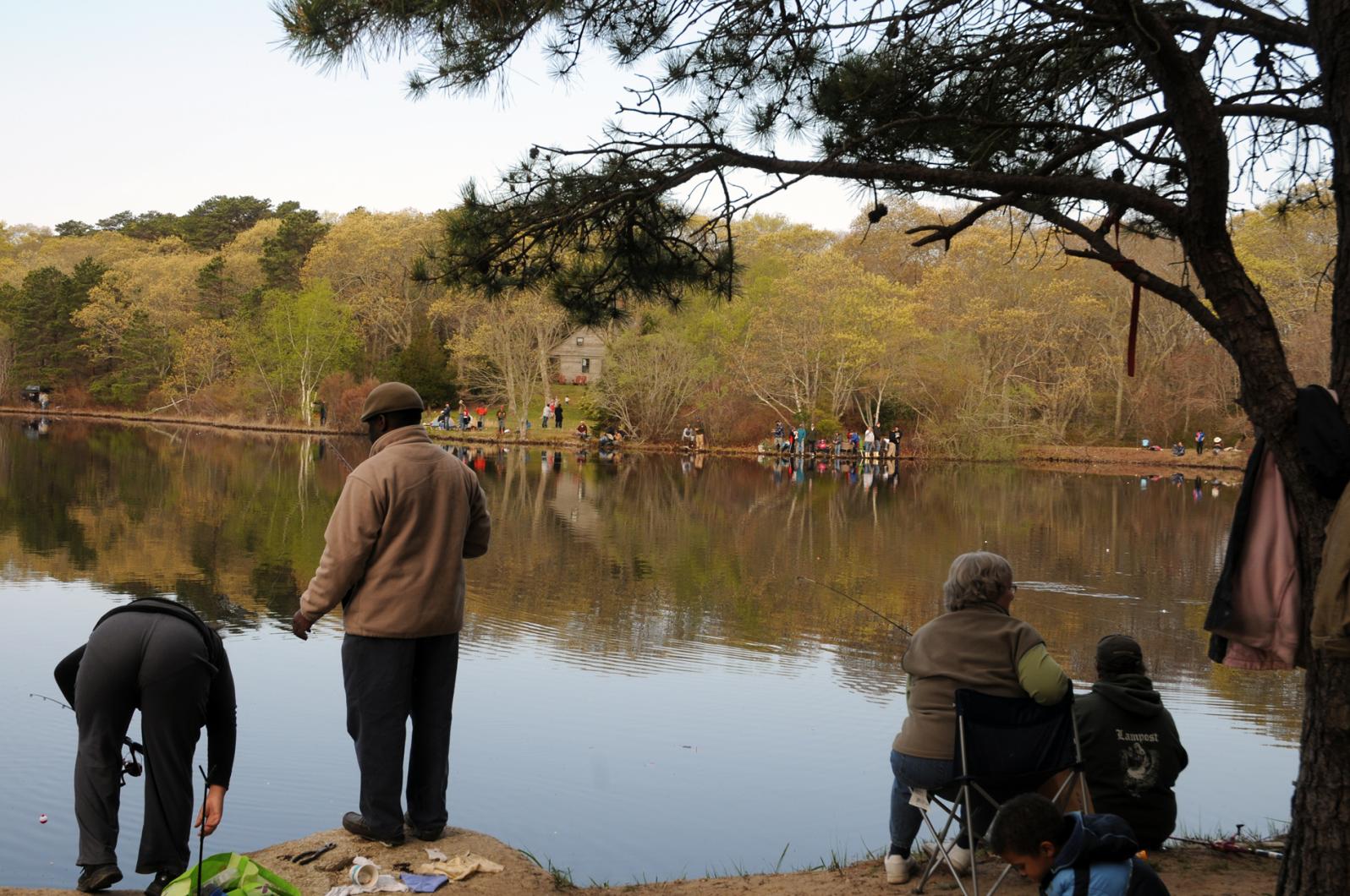 pond