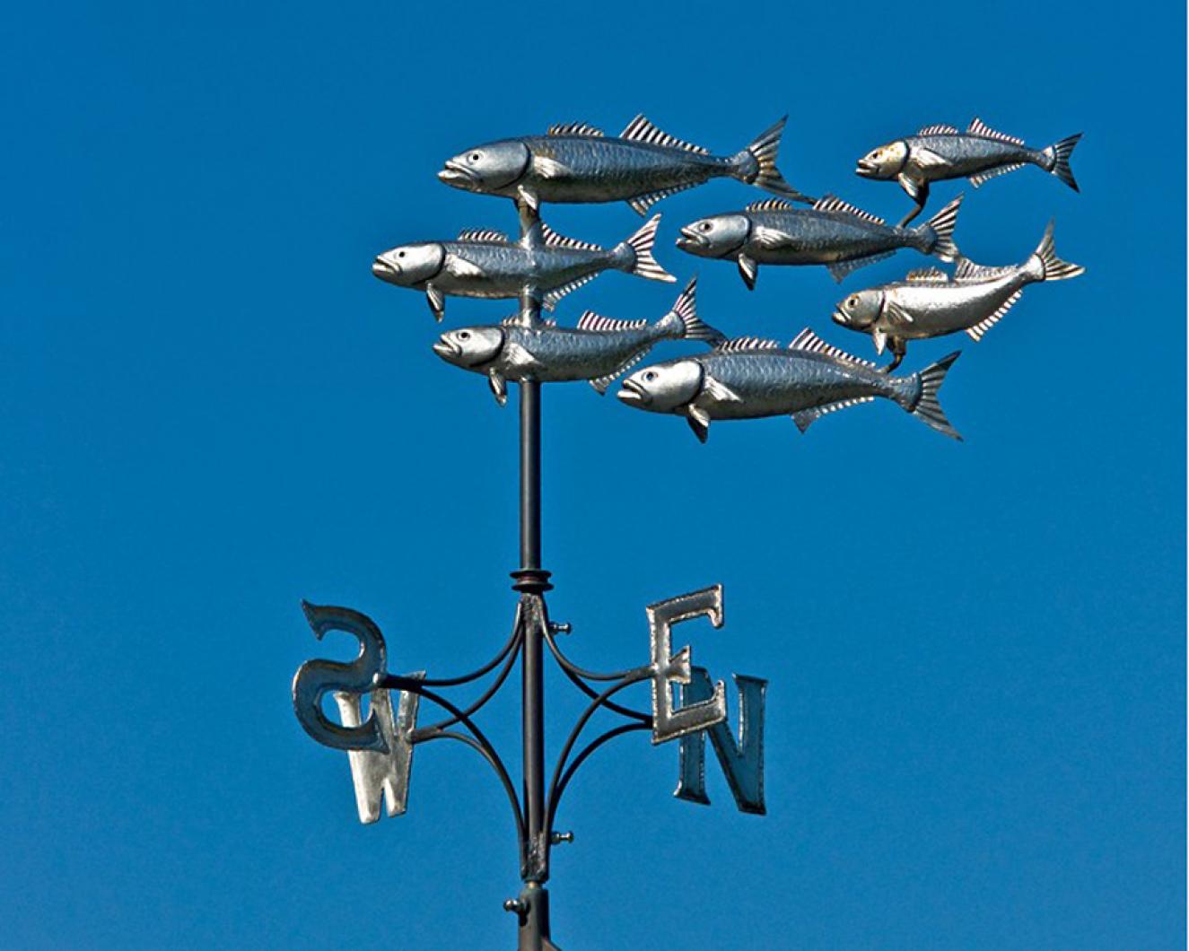 weathervane