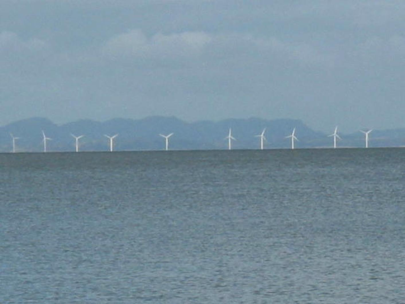 wind farm