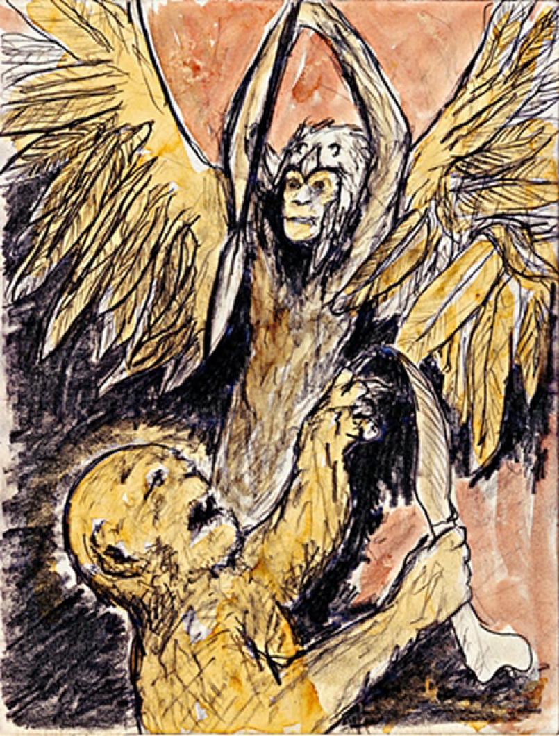 drawing painting monkey wings