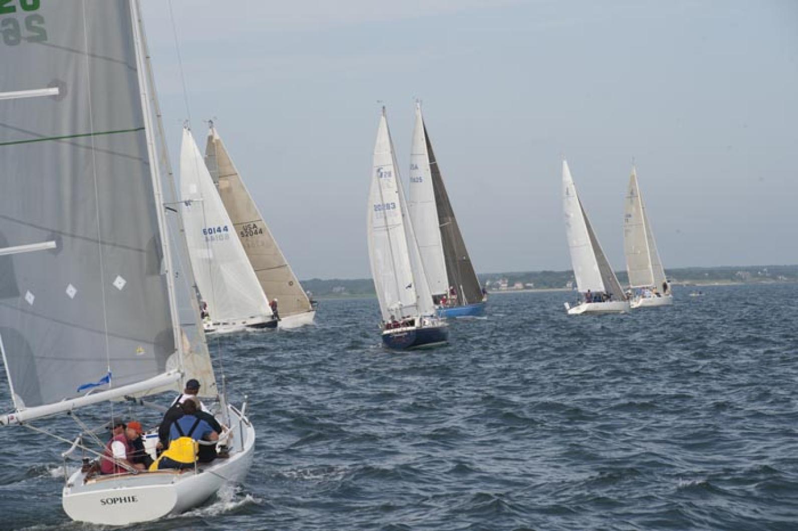 Sailboats.