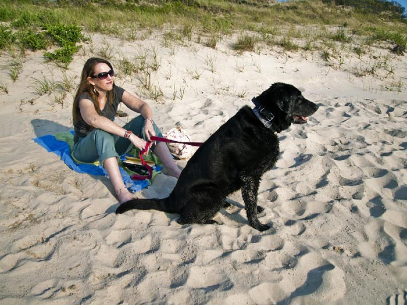 dog