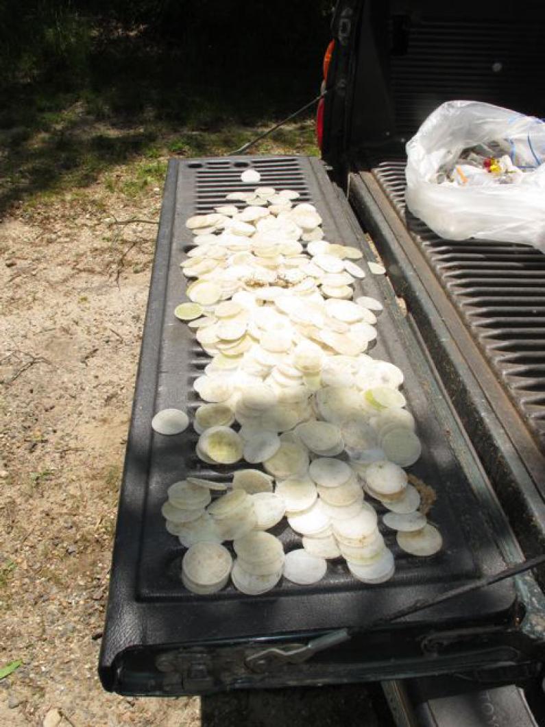 discs
