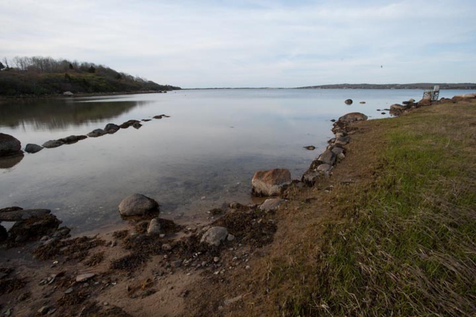 Menemsha Pond.