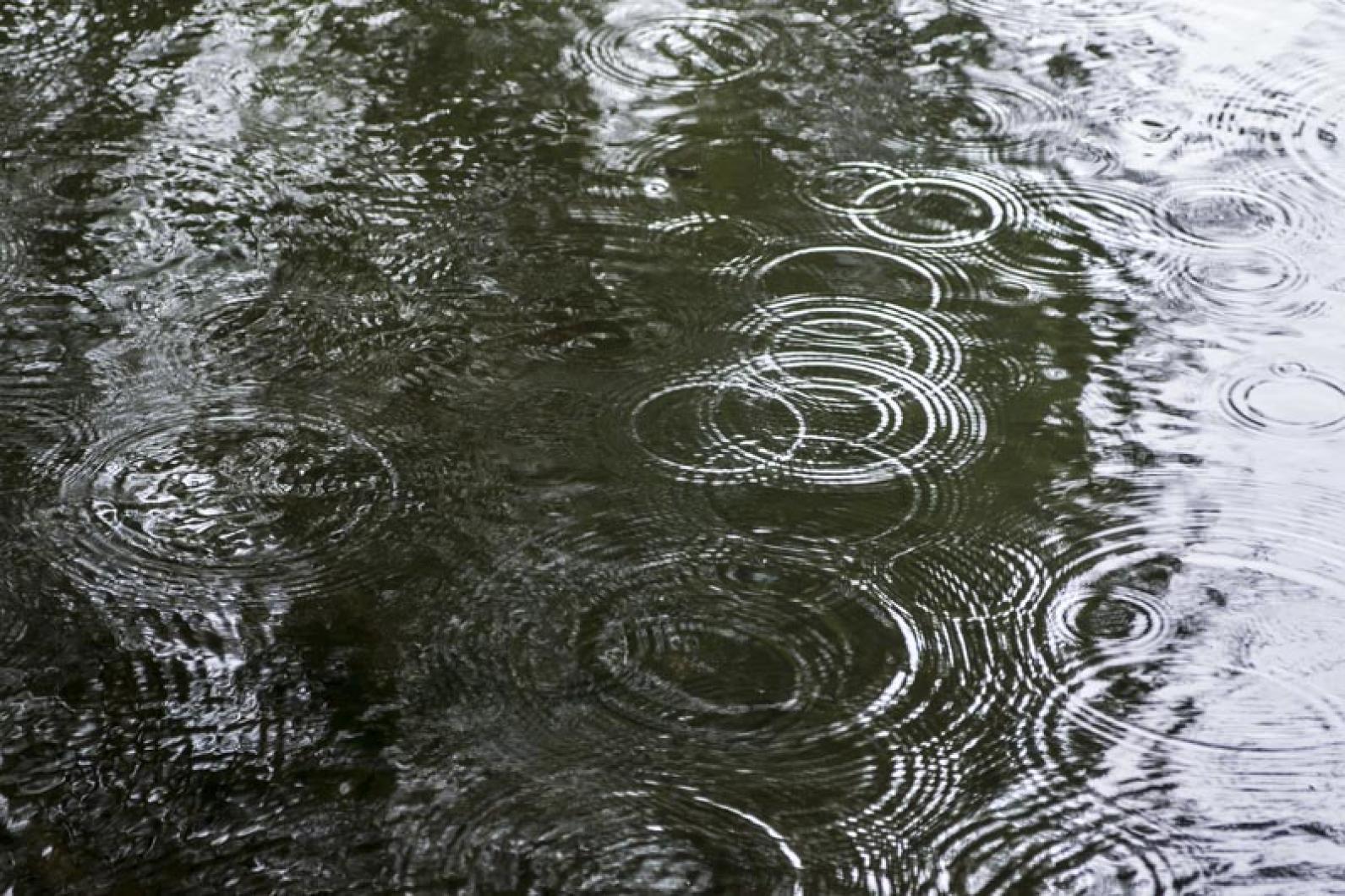 raindrops