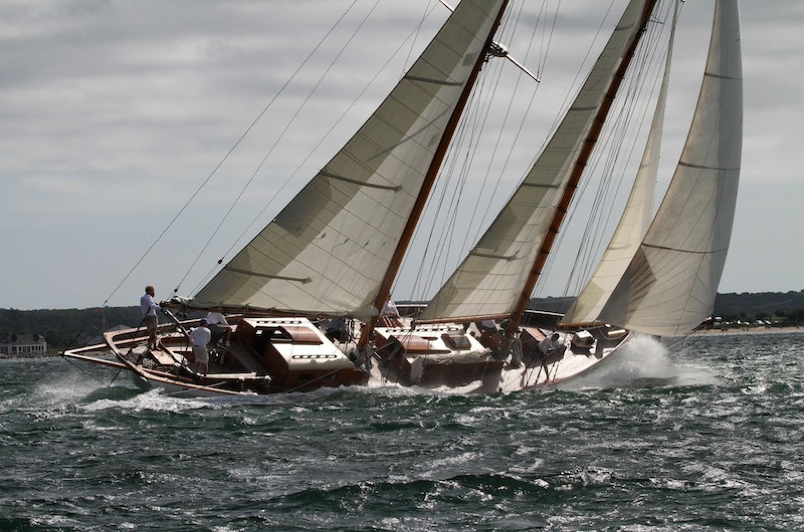 Juno sail boat