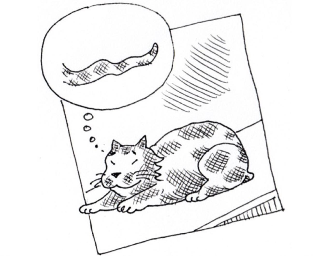 martha's vineyard laundromat comic