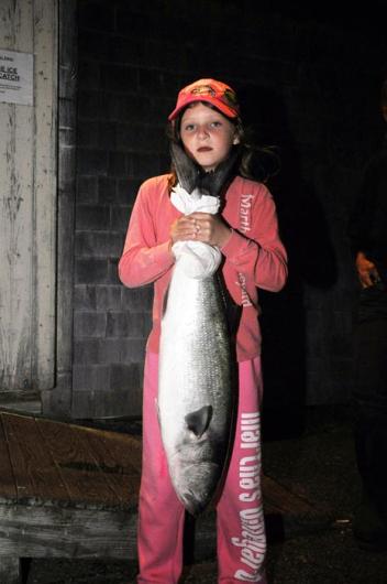 Chelsea Bouchard bluefish