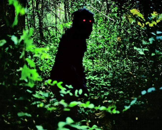 Uncle Boonmee forest monster