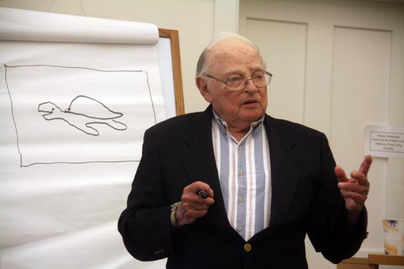 Al Hurwitz turtle drawing scribble