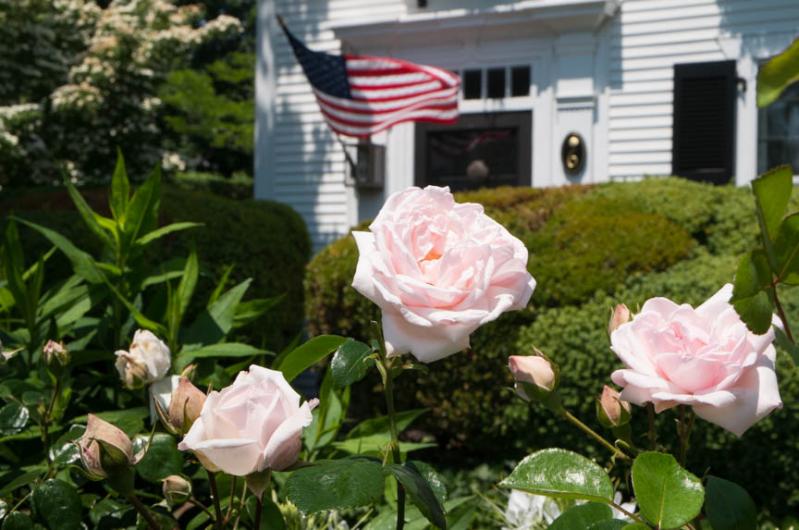 Fuller Street Edgartown