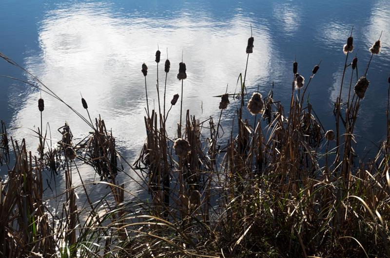 Sheriff's Meadow Pond