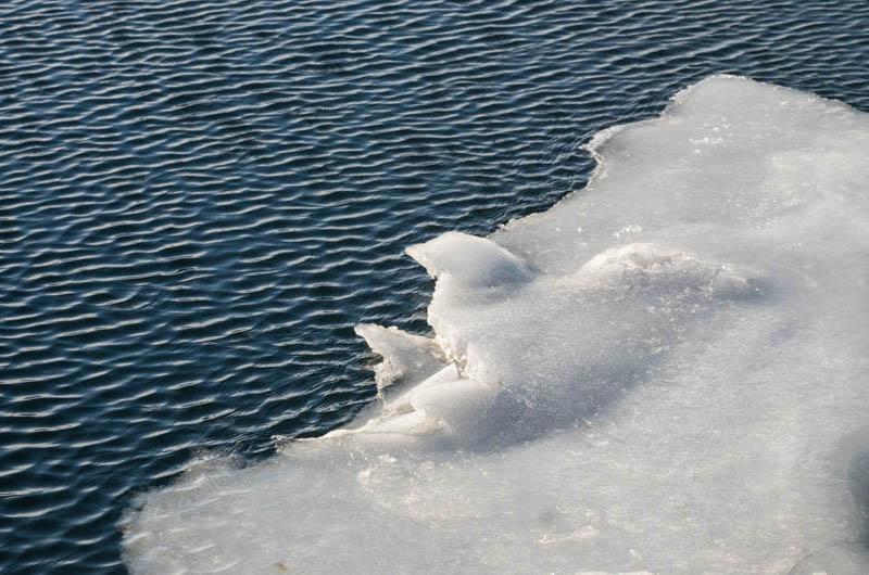 Delicate ice