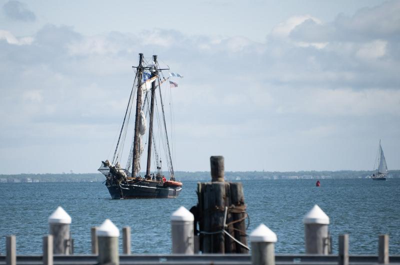 All sails furled and under diesel power to the dock.