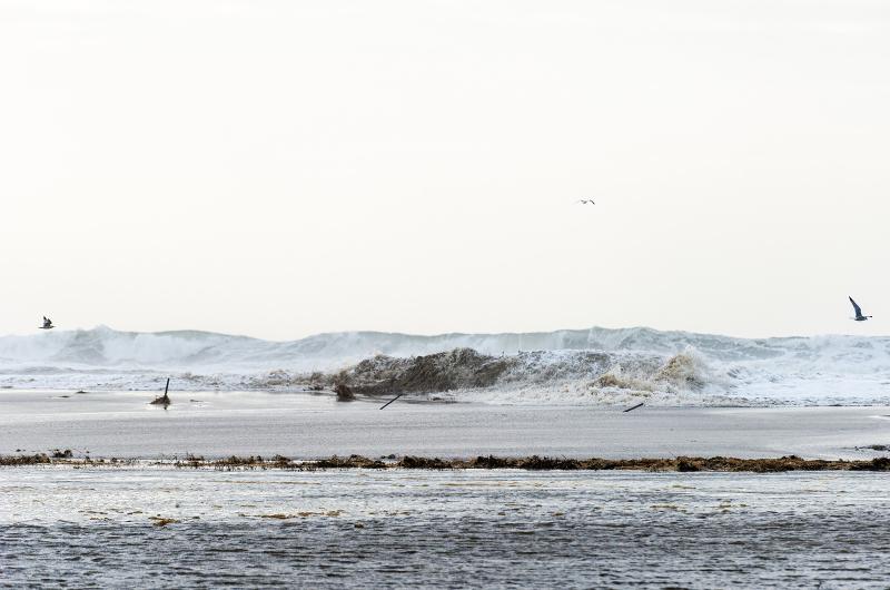 Water washing over the remnants of Norton Point beach into Katama Bay.