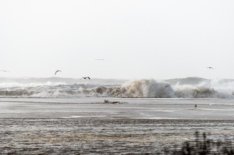 Water washing over the remnants of Norton Point beach into Katama Bay.