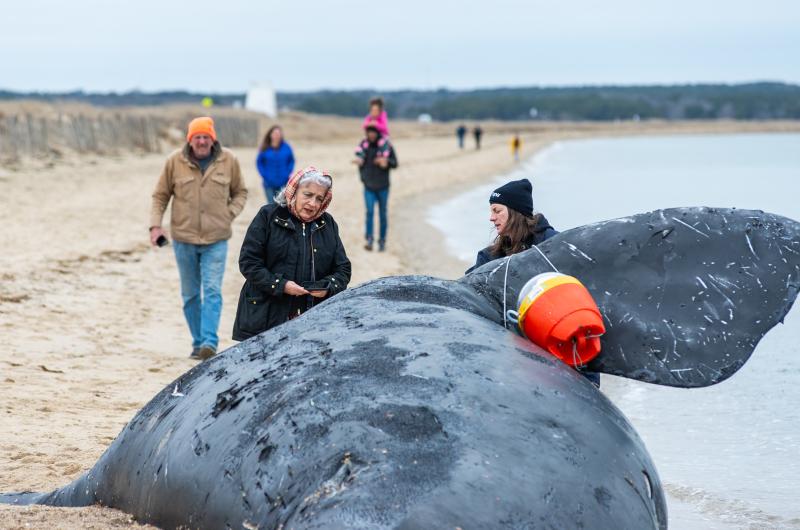 Alice June Thompson (center) reacts to seeing the whale.