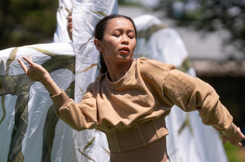 Dancers mimic natural systems and cycles.